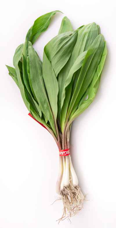 Ramps