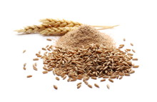 spelt alternative to wheat
