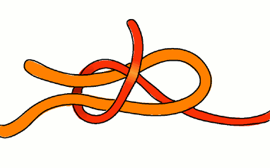 Albright Knot