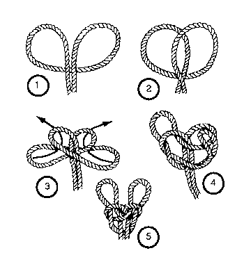 Boleta española